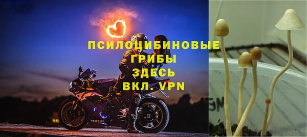 амф Армянск