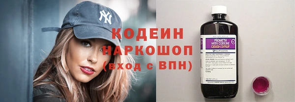 гидра Арсеньев