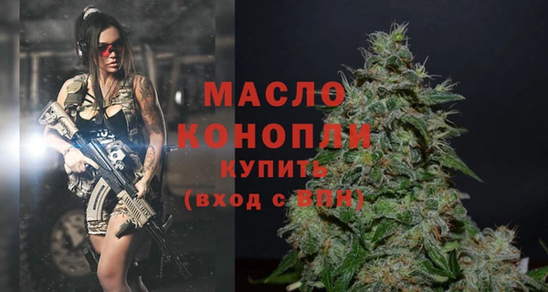 гидра Арсеньев