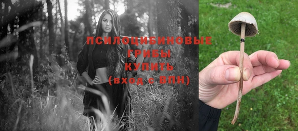 амф Армянск